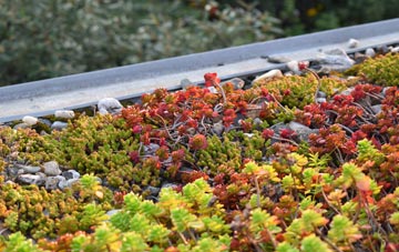 the cost of Woodlands Common green roof installation