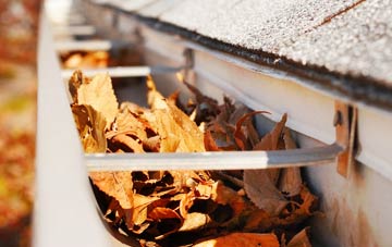 Woodlands Common gutter cleaning companies