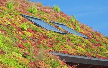 Woodlands Common living roof systems