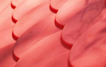 Woodlands Common plastic roof costs