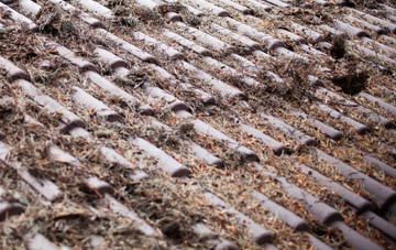 Woodlands Common roof cleaning companies