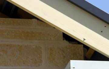 soffit repair Woodlands Common