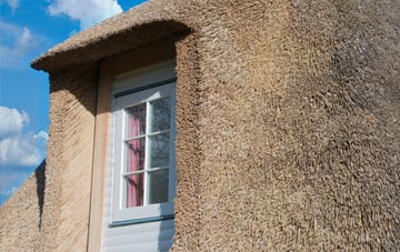 Woodlands Common thatch roof disadvantages