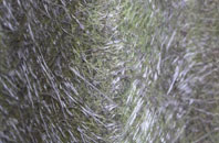 Woodlands Common fibreglass roof work