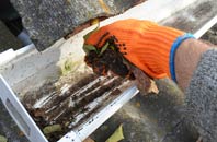 rated Woodlands Common gutter cleaning companies