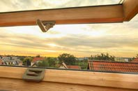 rated Woodlands Common roof window companies